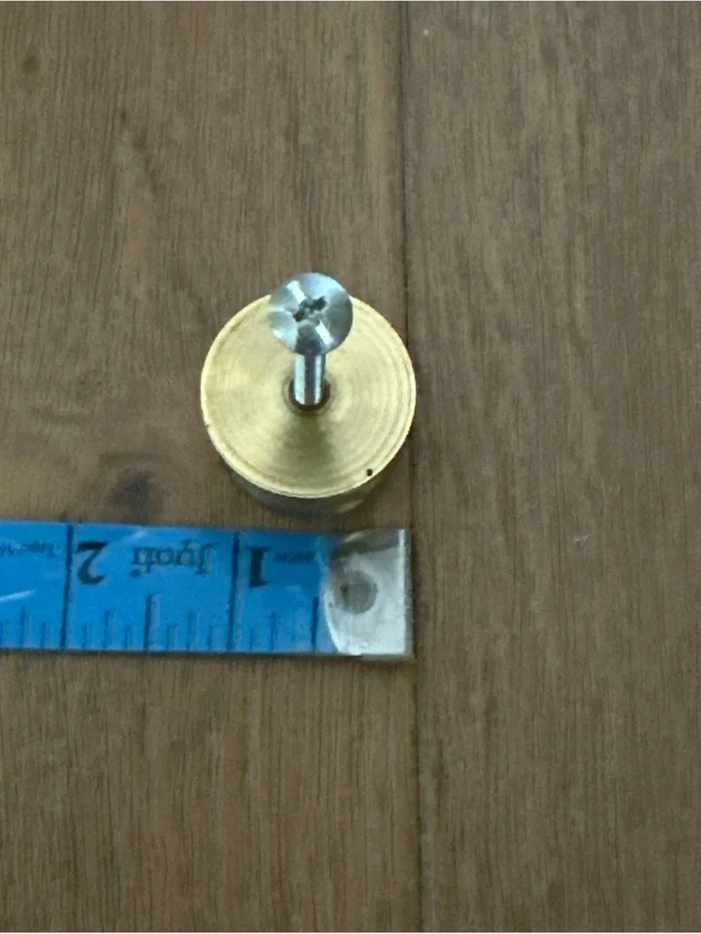 Polished Brass Wall Knobs. Set of 9- Gold Finish